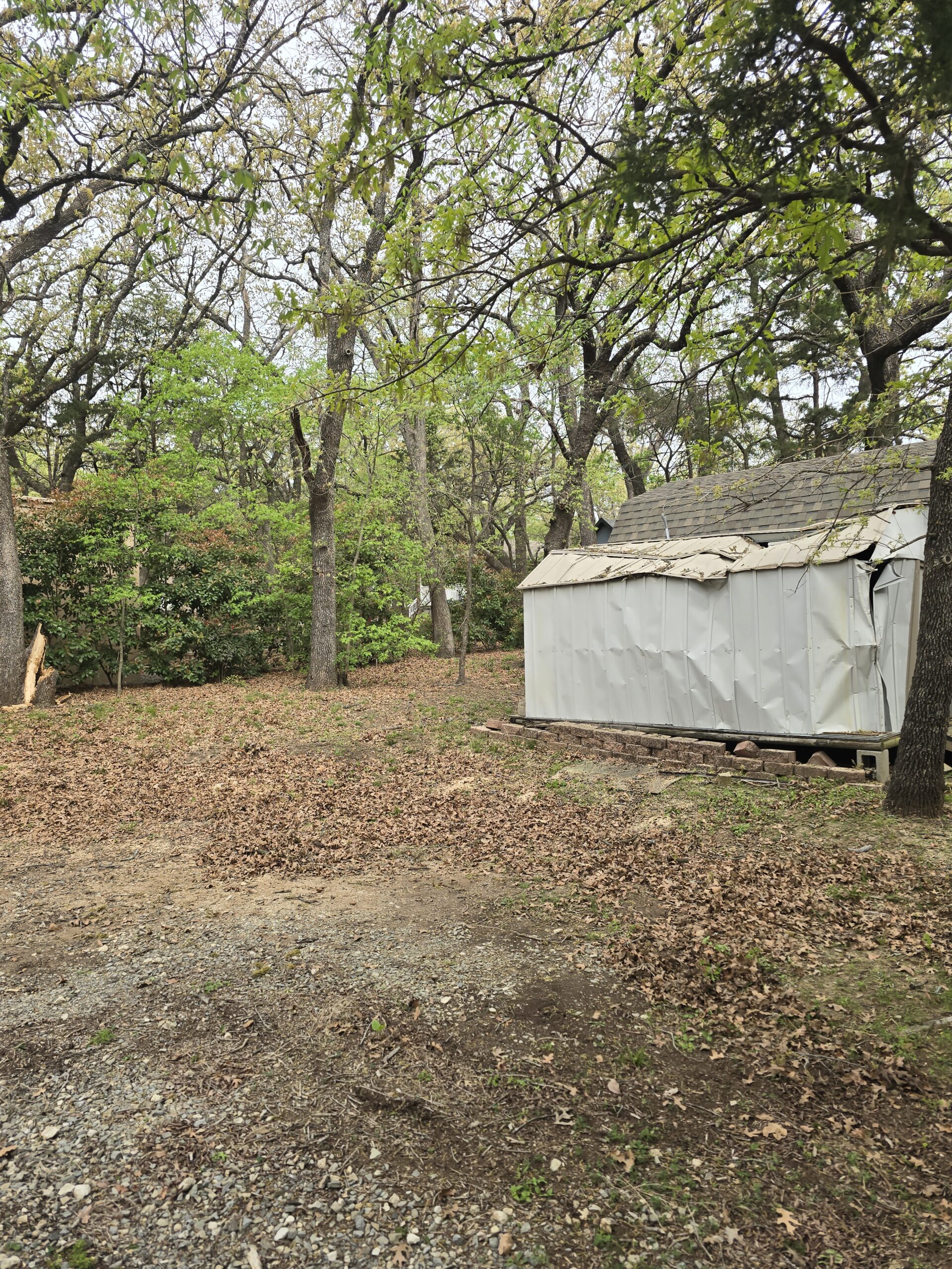 Emergency tree service category for urgent property response