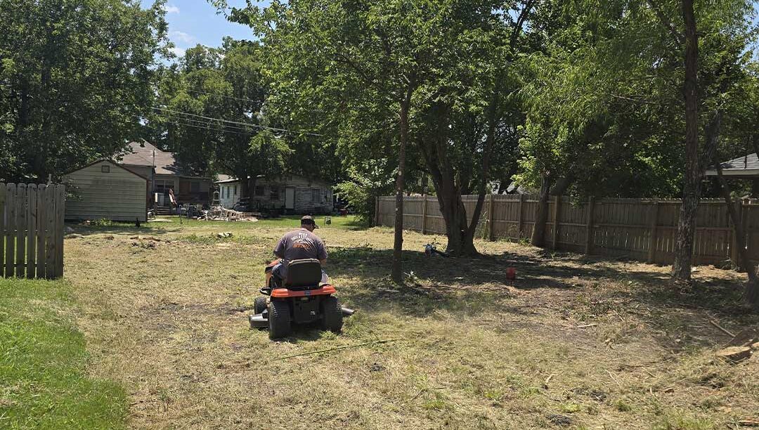 Reliable and safe tree service process