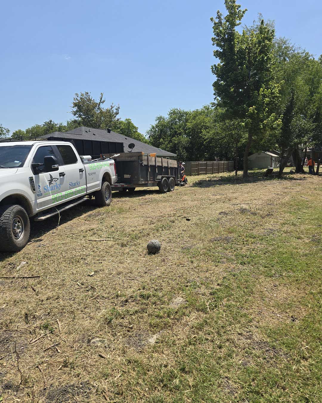 Professional stump grinding service view