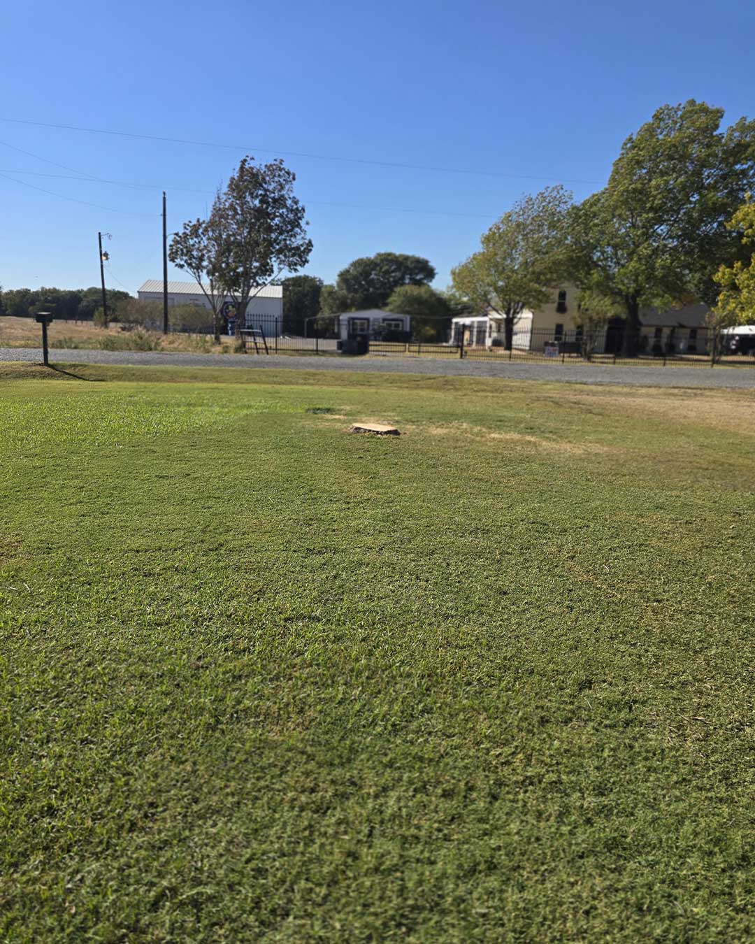 Stump Grinding Texas service main image