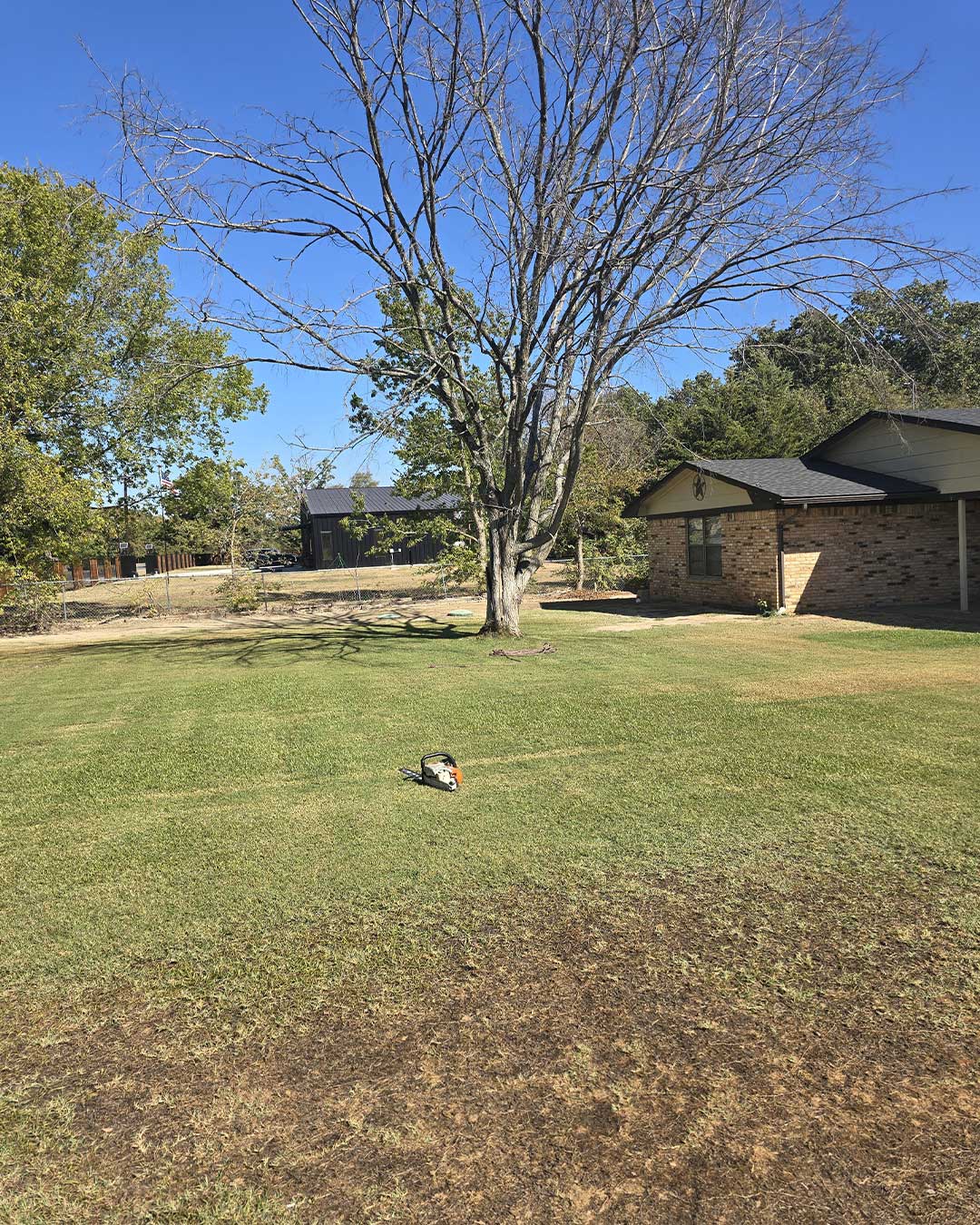 Property cleared after tree removal work