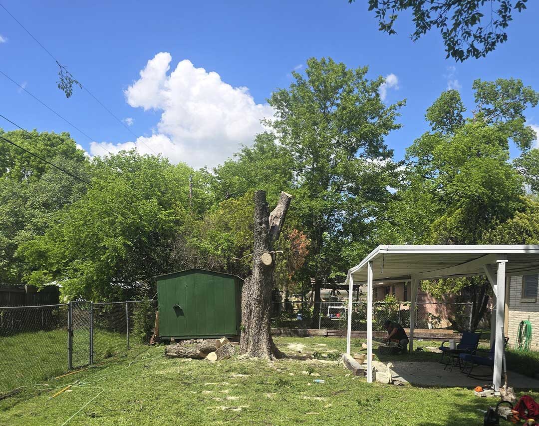 tree service mckinney tx