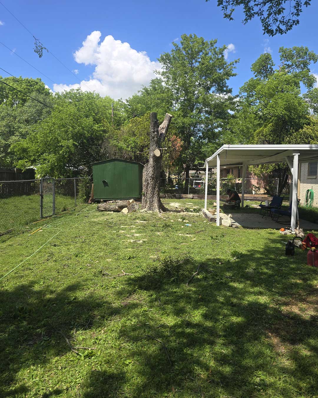 Tree removal project in Texas