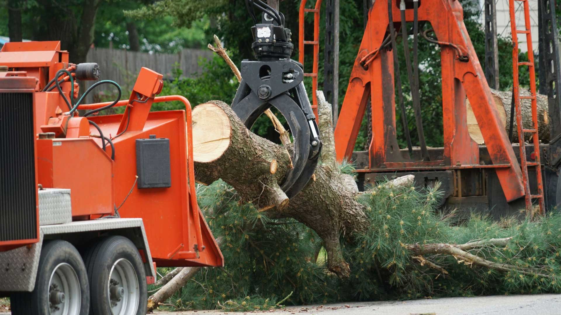 tree service mckinney tx