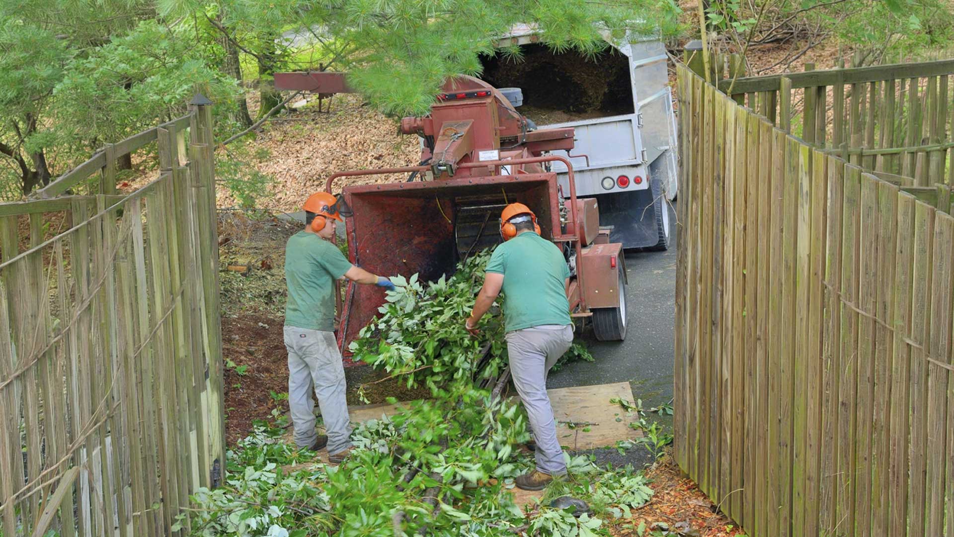 Tree Service Woodbine TX