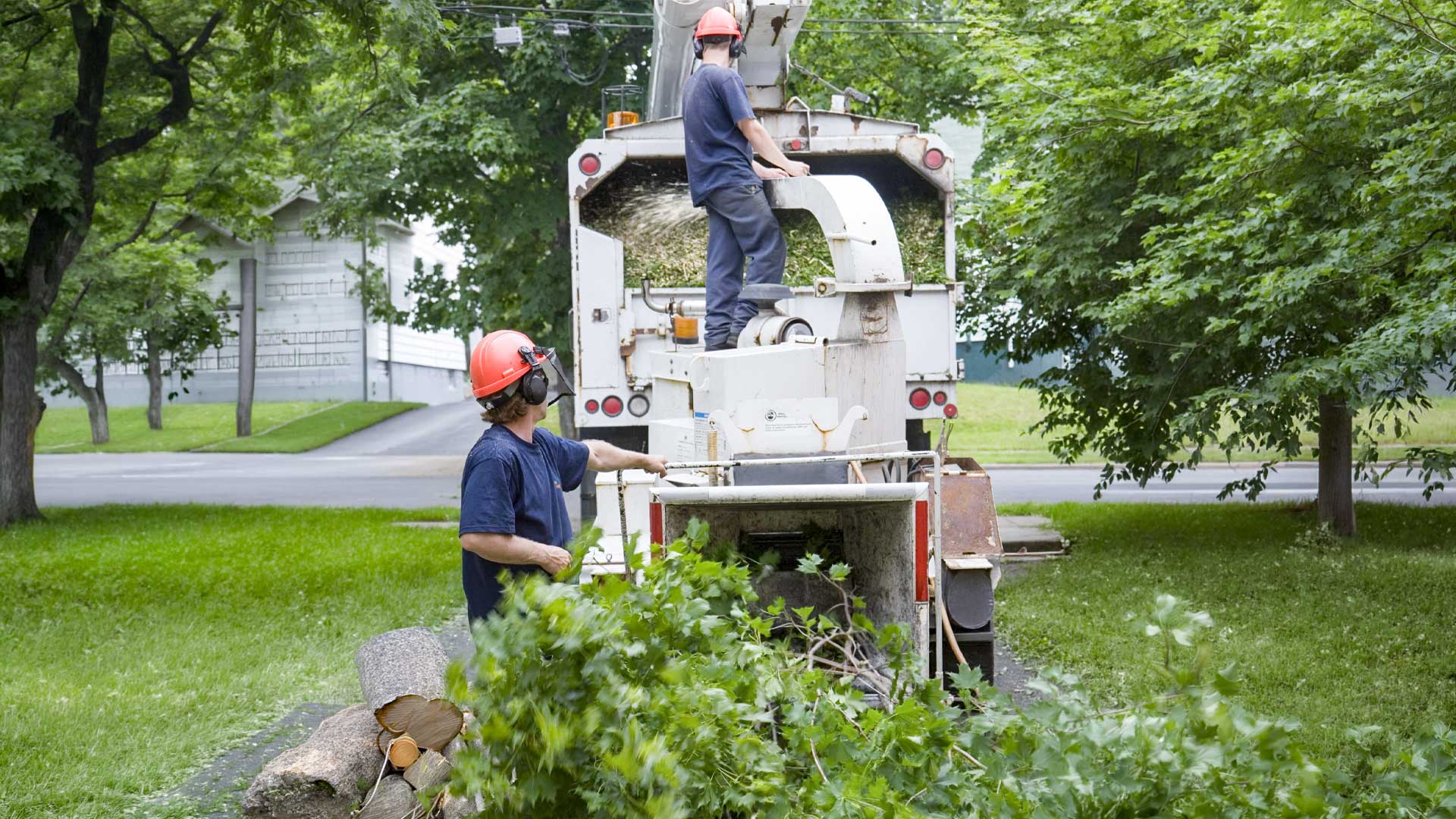 Tree Service Southmayd tx