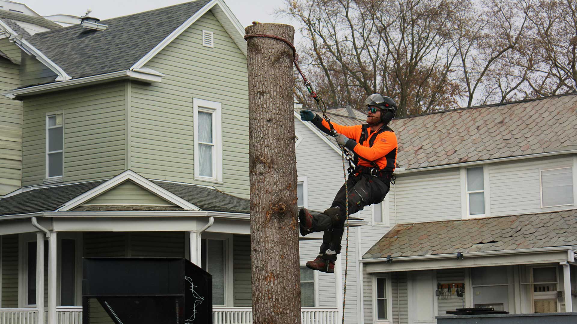 tree service pilot point tx