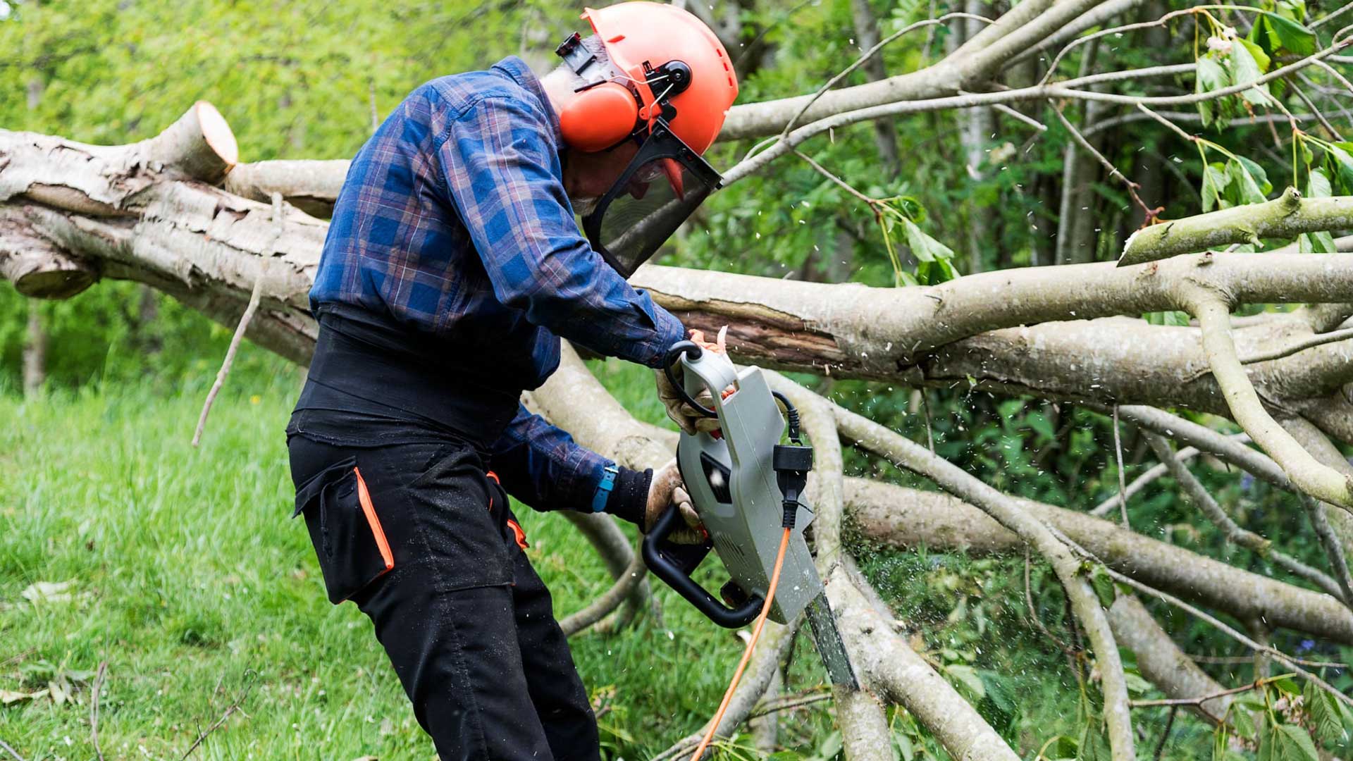 tree service mckinney tx