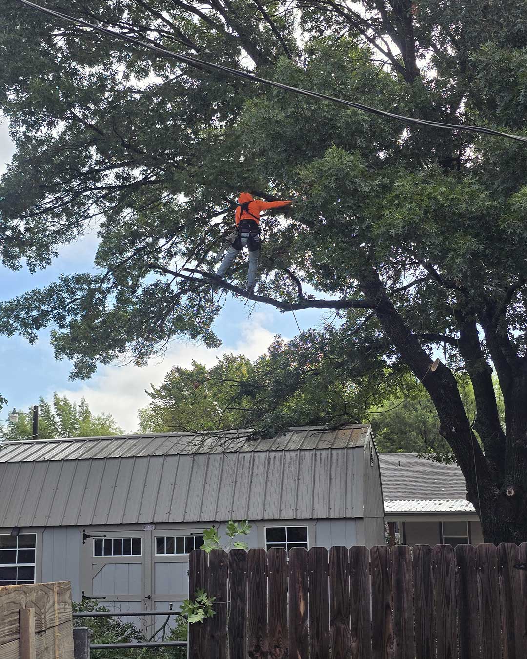 Professional service presentation and dependable support